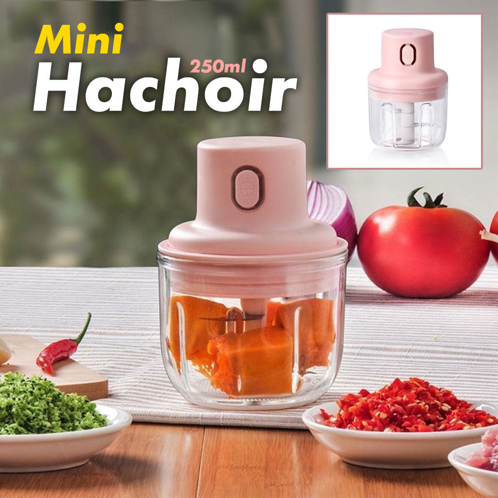 Mini Hachoir électrique Portable Rechargeable 250 ML